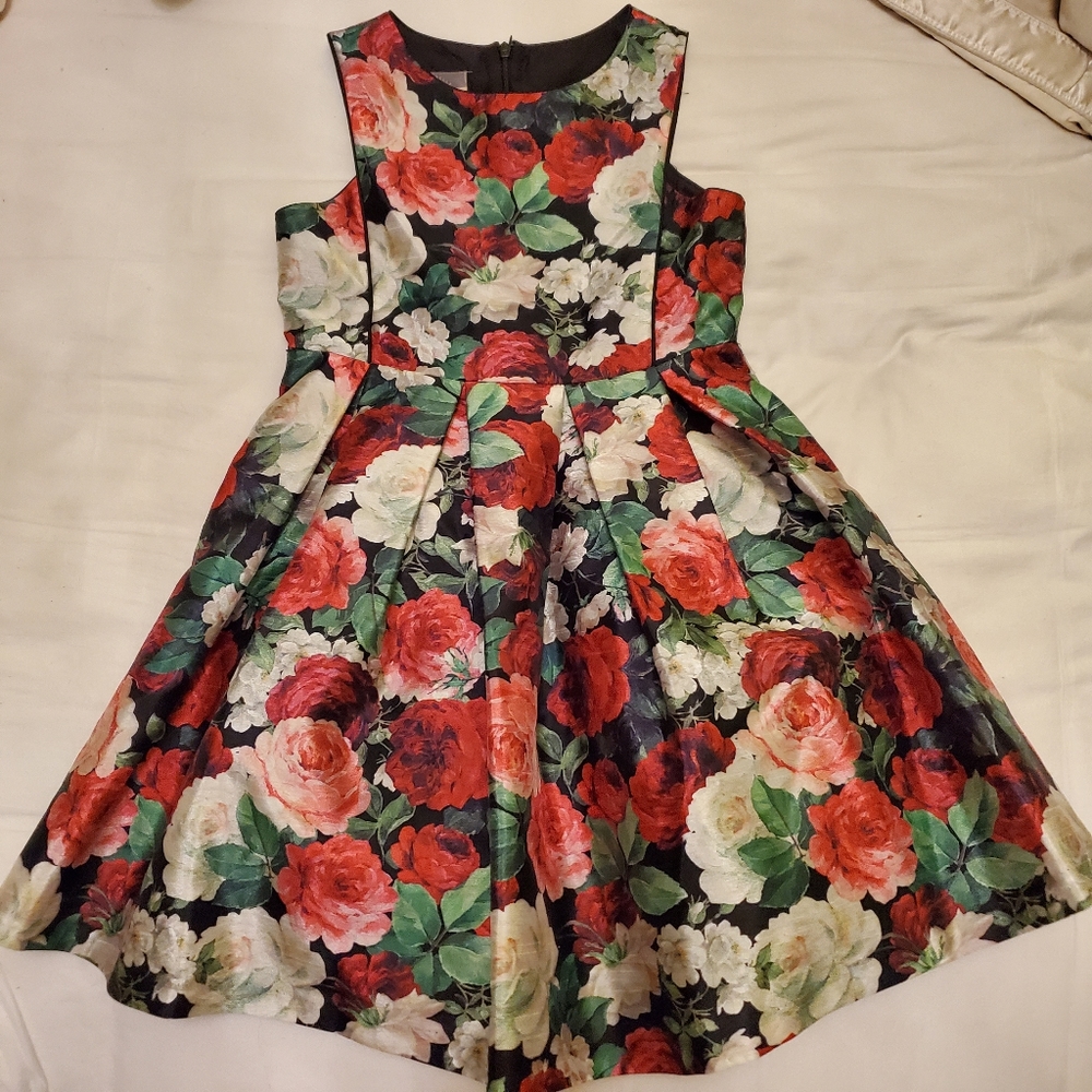 Pastourelle by Pippa & Julie Holiday Dress Sz 10
